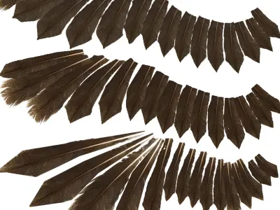 Rig Sparrow Bird  Low-poly 3D model