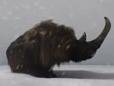 The Woolly Rhino Free low-poly 3D model