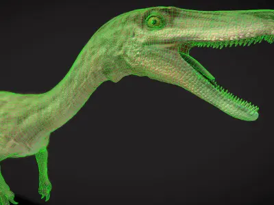 Coelophysis Low-poly 3D model