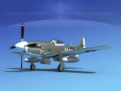 P-51D Mustang Contessa Katy 3D model