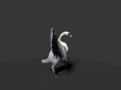 white swan  3D model