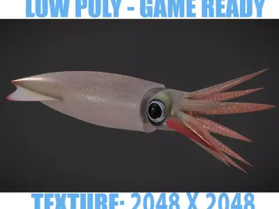 Cuttle squid with long tentacles Low-poly 3D model