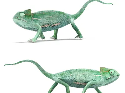 Pets Set barn owl Low-poly 3D model