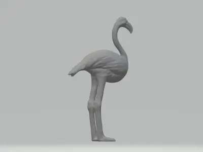 Flamingo 3D Model Free 3D print model