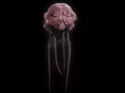 Alien Insect Creature Low-poly 3D model