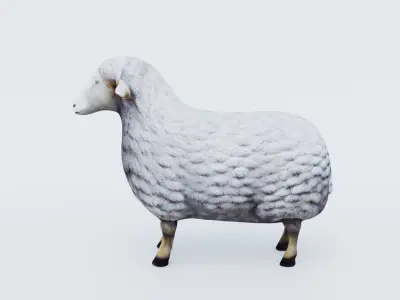 Sheep Free 3D model