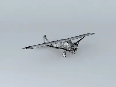 Wright Bellanca Free 3D model