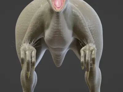 Female velociraptor 3D model