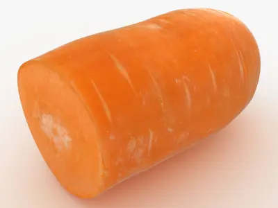 Half Carrot 3D model
