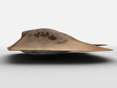 Mobula Devil rays Flying rays Manta Low-poly 3D model