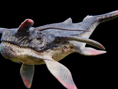 Alien Whale Creature Low-poly 3D model