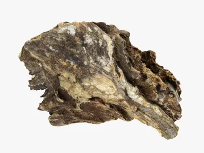 Tree Trunk Piece 13 3D model
