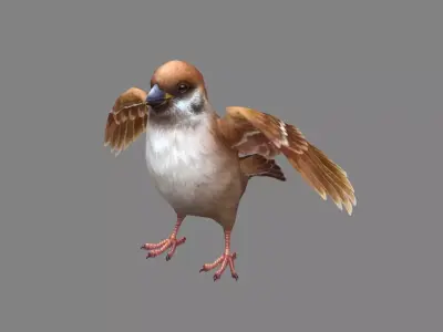Cartoon sparrow Low-poly 3D model