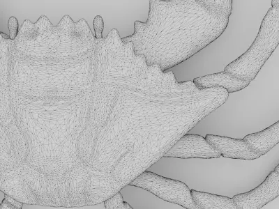 toy crab  Low-poly 3D model