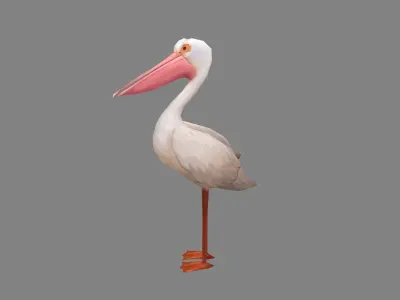 Cartoon pelican Low-poly 3D model