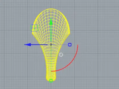 Sviluppo anello con suprfice Free 3D model