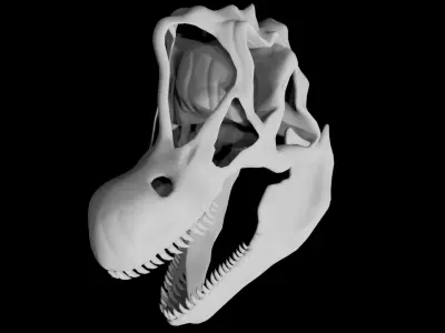 Brachiosaurus skull Low-poly 3D model