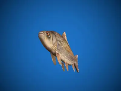 Oceon Fish  Low-poly 3D model