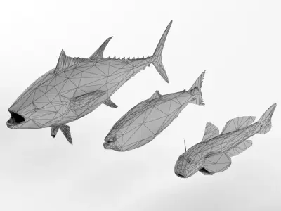 Low Poly Fish and Tuna Set Animal Lowpoly Low-poly 3D model