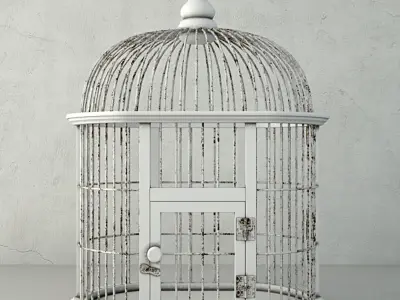 Decorative Bird Cage by ZARA HOME 3D model