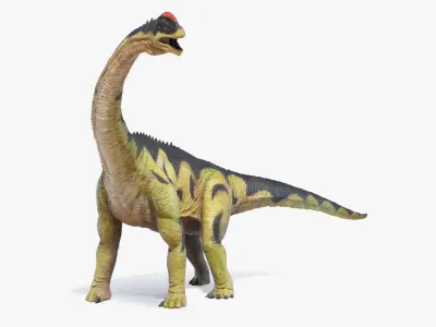 Camarasaurus Animated 3D model