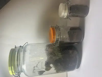 STL - KG Customs and Creations Terrarium lid - 3d print file 3D model