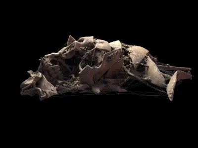 Broken Skull with Spider webs 2 3D model