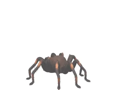 Giant Hairy Spider Plush 3D Model Game Character 3D model