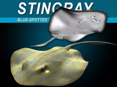 Blue-spotted Stingray 3D model