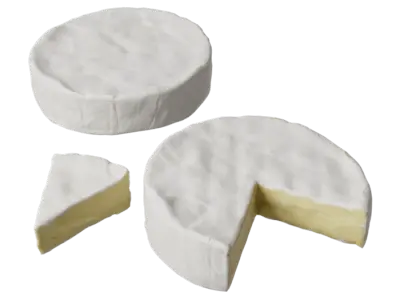  Brie Cheese Wedges Food Model 