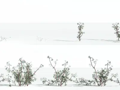 EVERYPlant Baiera 2 --14 Models-- 3D model