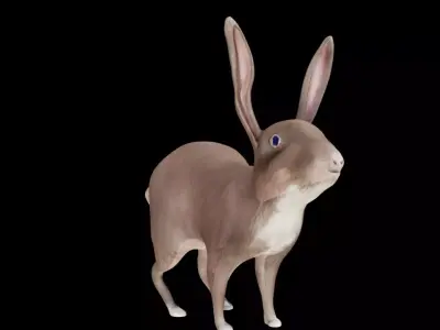 Rabbit 3D Model  Low-poly 3D model