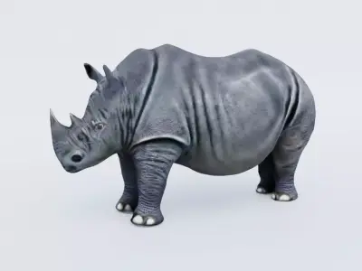 Rhino Free 3D model