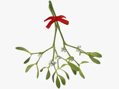 Mistletoe with Red Bow 2 3D model