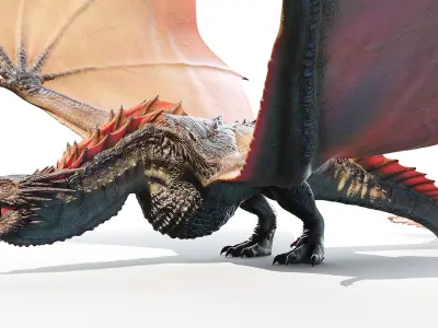 Dragon Animated 3D model purchase