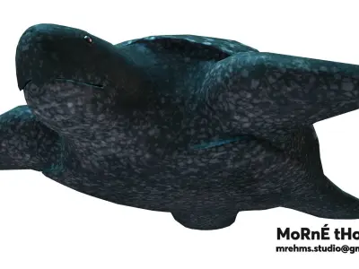 Leatherback Turtle Free 3D model