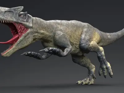 Dinosaur Allosaurus Real Dinosaur 74 Animations Low-poly 3D model