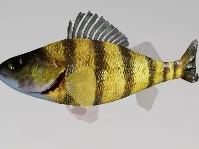 Bony Fish Low-poly 3D model