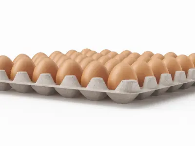 Egg Carton 3D Model purchase