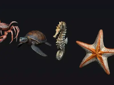 Sea Animals 3D model
