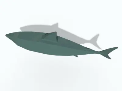 Low Poly Shark Free 3D model