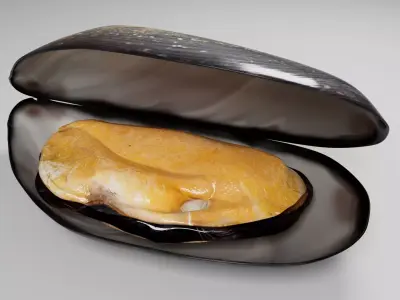 Mussel 3D model