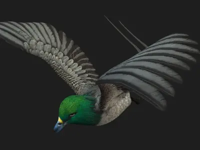 PheasantBird B8 3D model