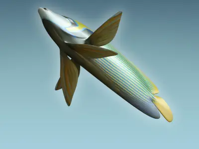 Emperor Angle Fish 3D model