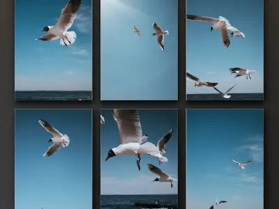 JUNIQE Seagulls Poster 3D model