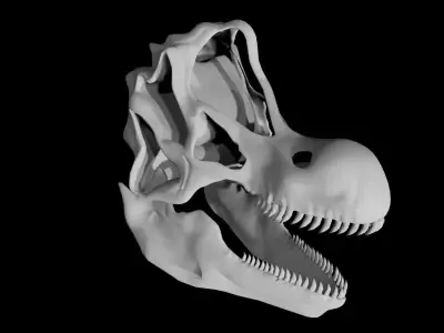 Brachiosaurus skull Low-poly 3D model