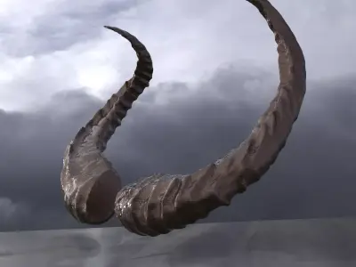 Wild Boar Horns 3D model