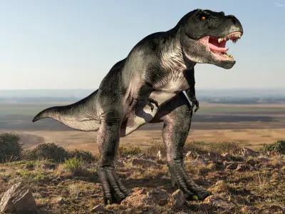 Carnivorous Dinosaurs Collection 3D model