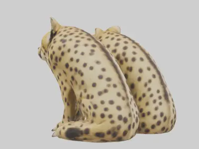 Cheetah Paws Model 3D model