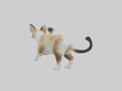 Manx Cat playing model 3 hands Low-poly 3D model